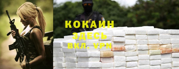прущие грибы Абдулино