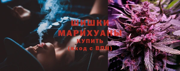 соль ск Абаза