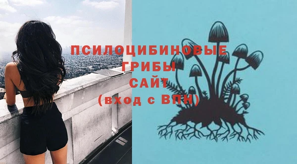 СК Рославль
